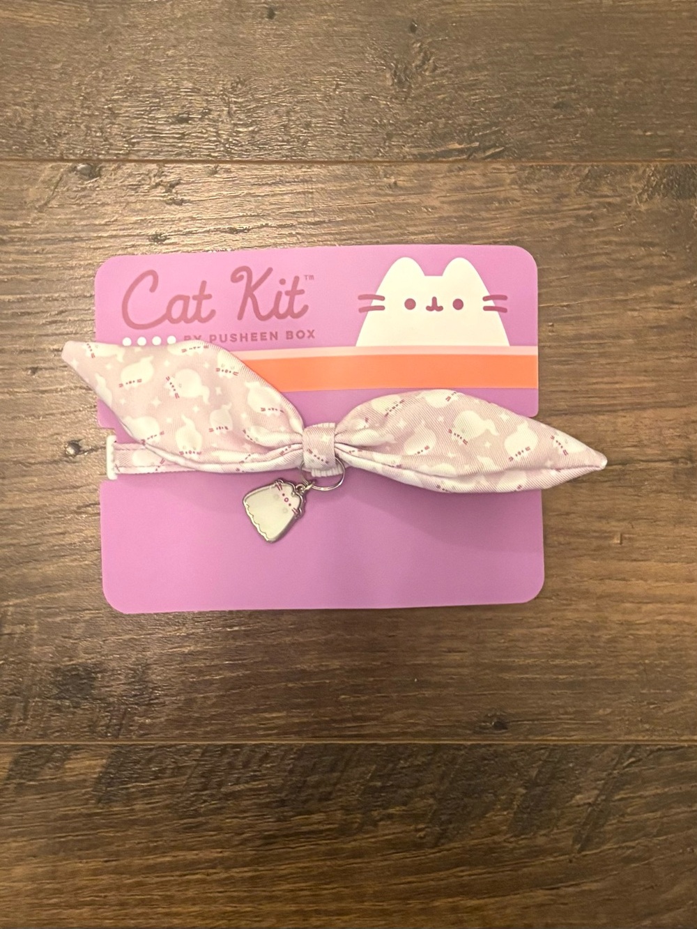 Pusheen Boosheen Bow Hair Tie with Charm - 2026 Fall Box